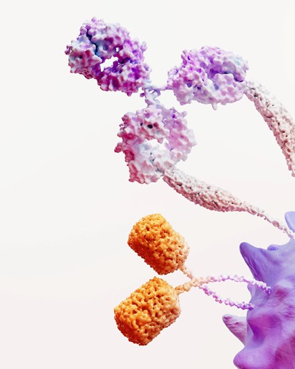 Immuno Oncology Science Image