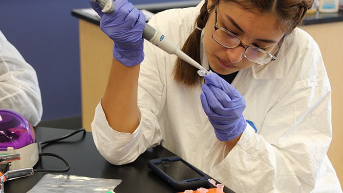 Young scientist
