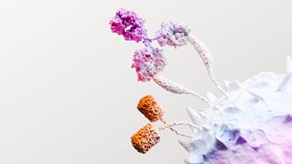 3D rendering of immuno-oncology cells