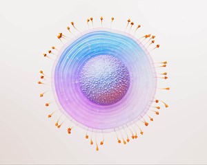 3D rendering of a shingles virus
