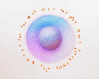 3D rendering of a shingles virus