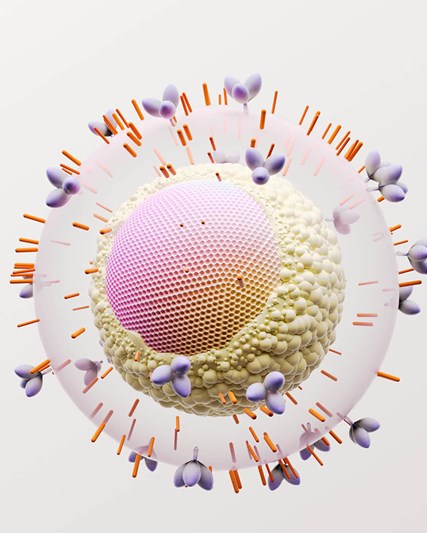 3D rendering of the HIV virus
