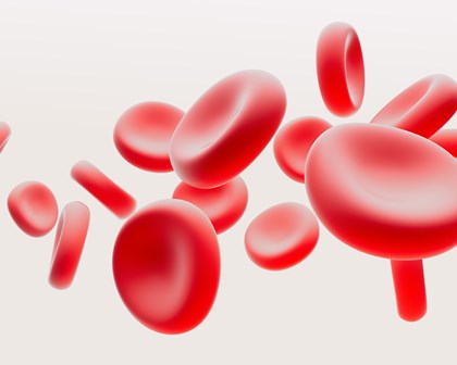 3D rendering of blood cells 
