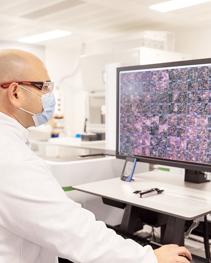 Scientist at a computer monitor looking at 3D images in high throughput screening lab 
