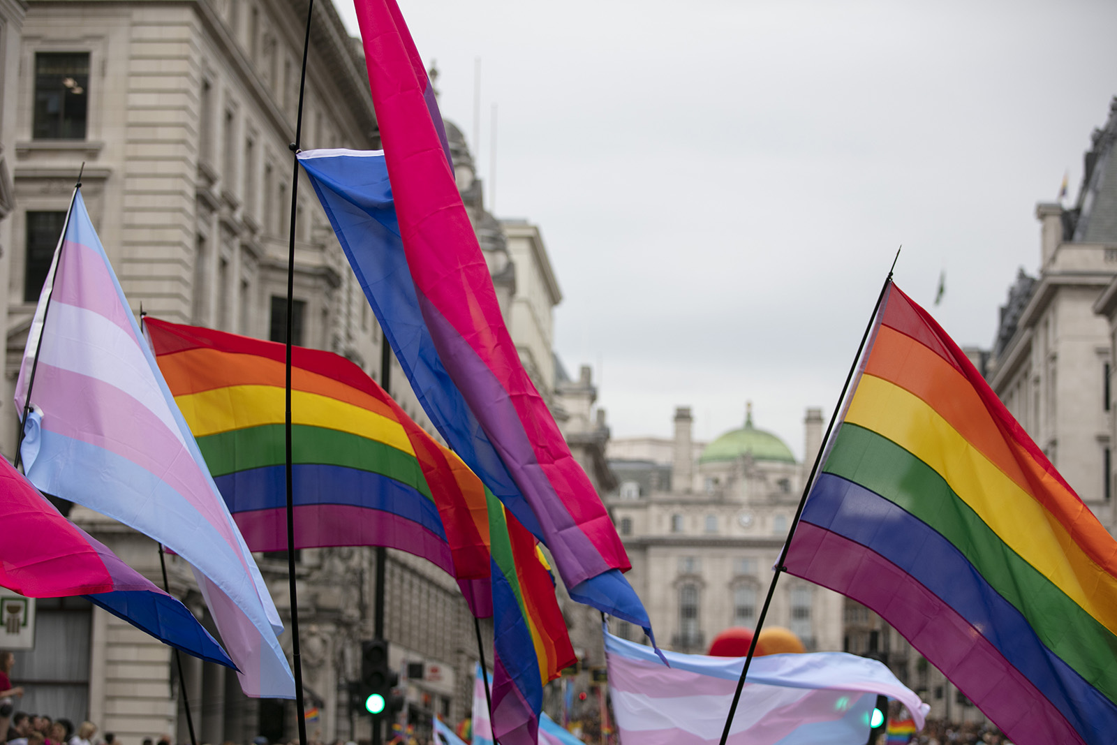 the trans and LGBTQIA flags waving in the air