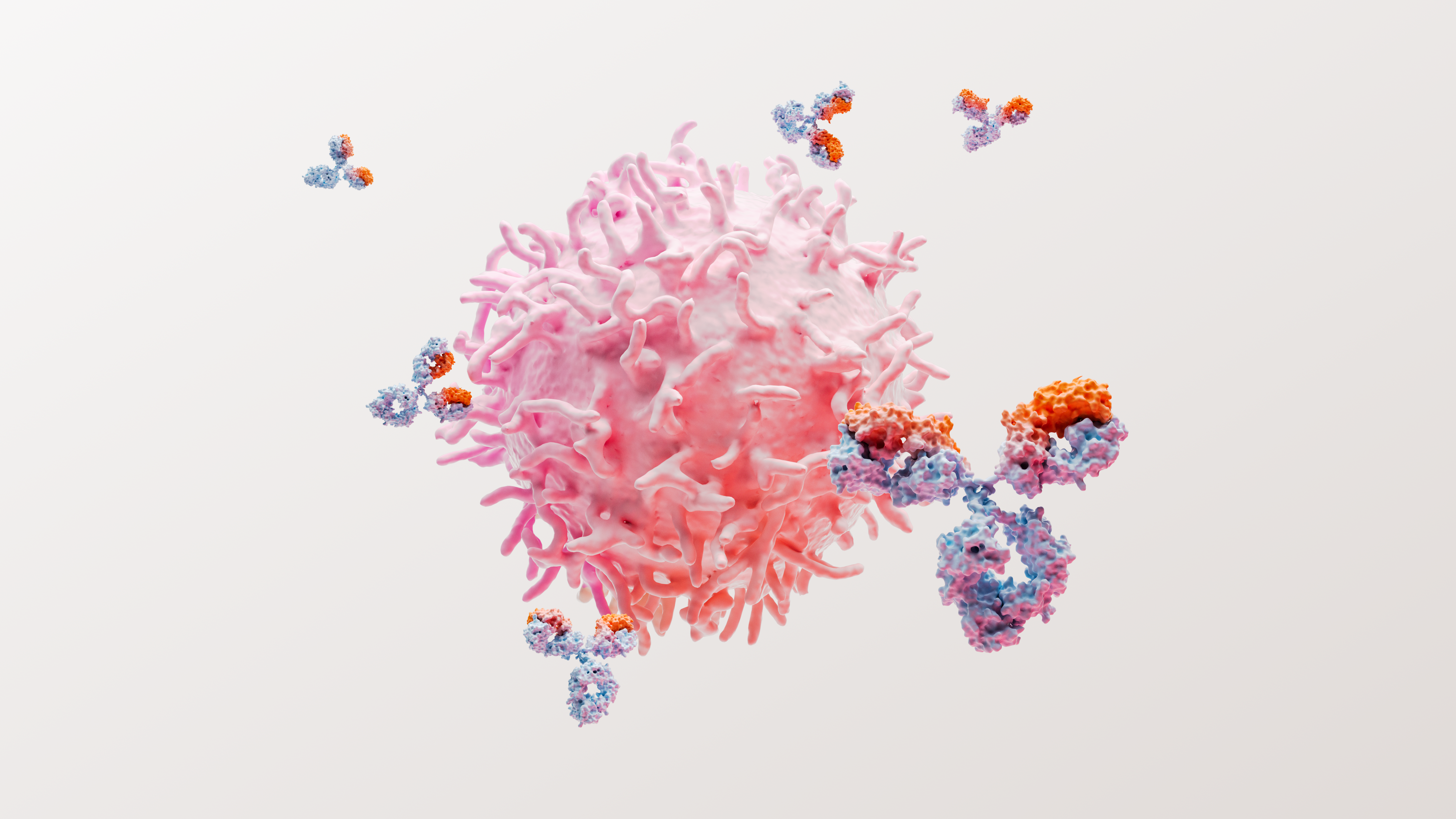 3D photo of autoimmune disease.