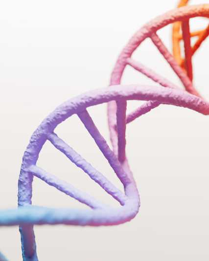 DNA strand