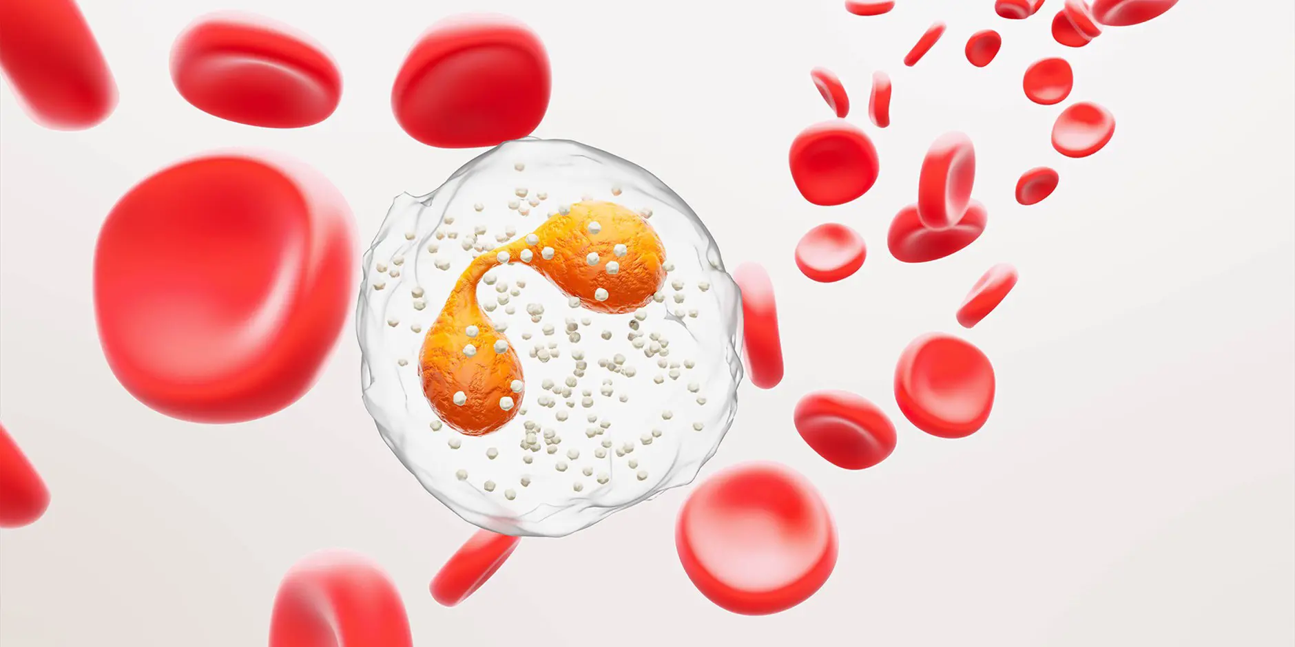 3D photo of eosinophils