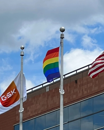 three flags: GSK, LGBTQIA and US