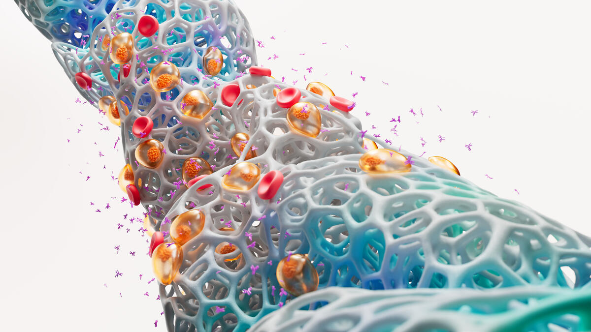 Science Image Multiple Myeloma RGB.Tif (1)