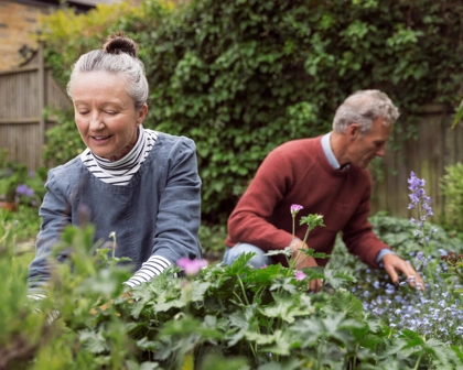 Two elderly people gardening