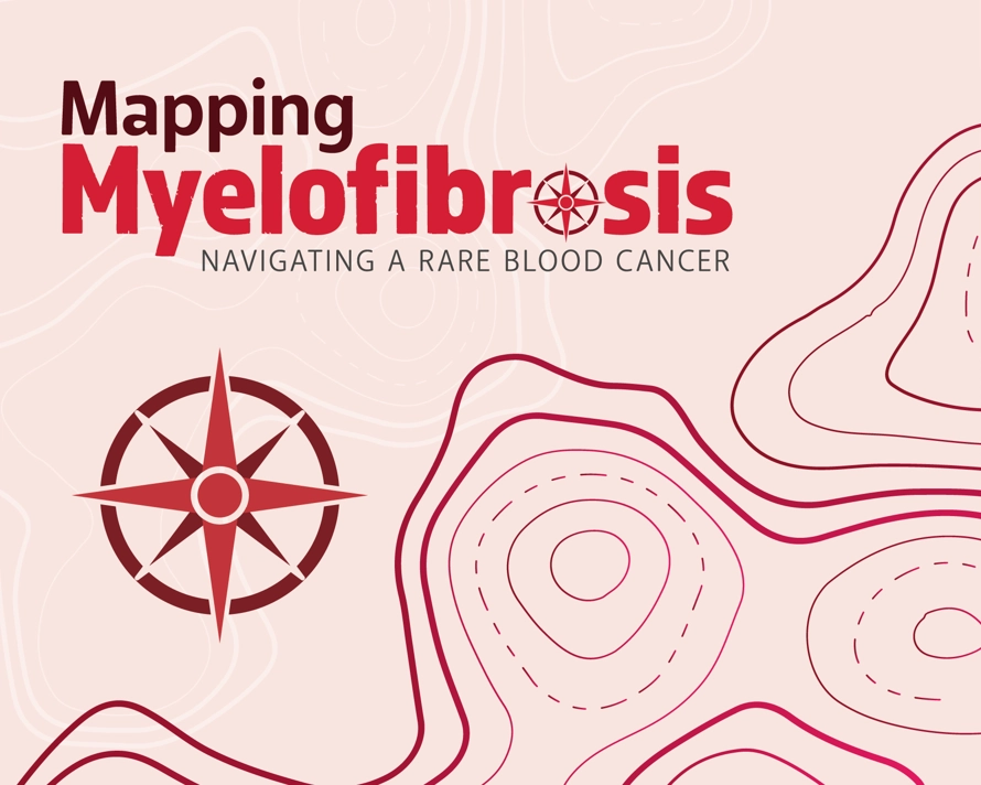 Mapping MF Image Asset