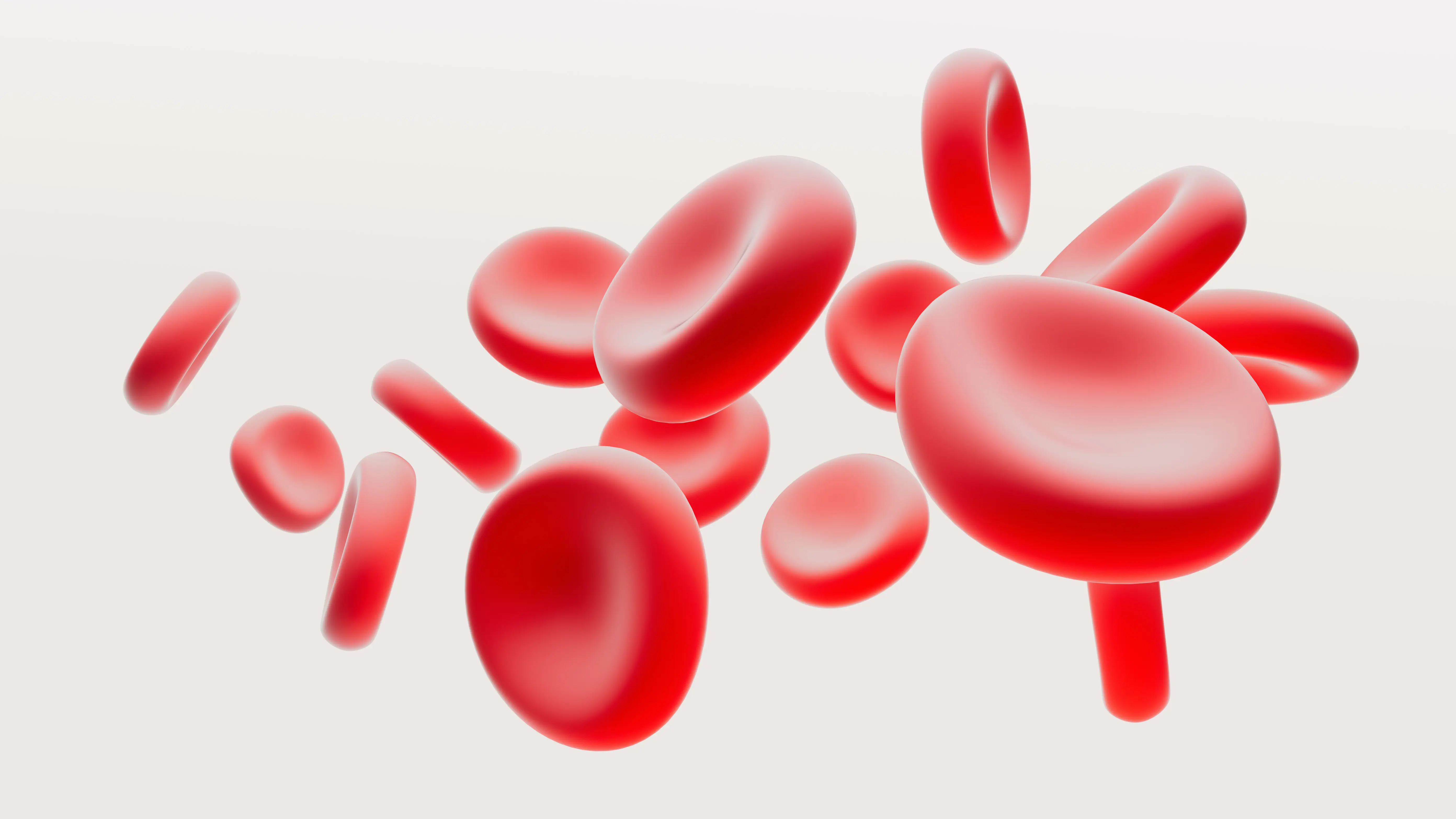 red blood cells 