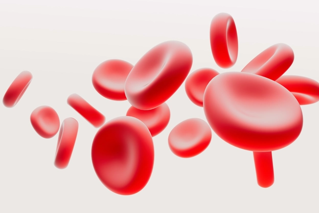 red blood cells