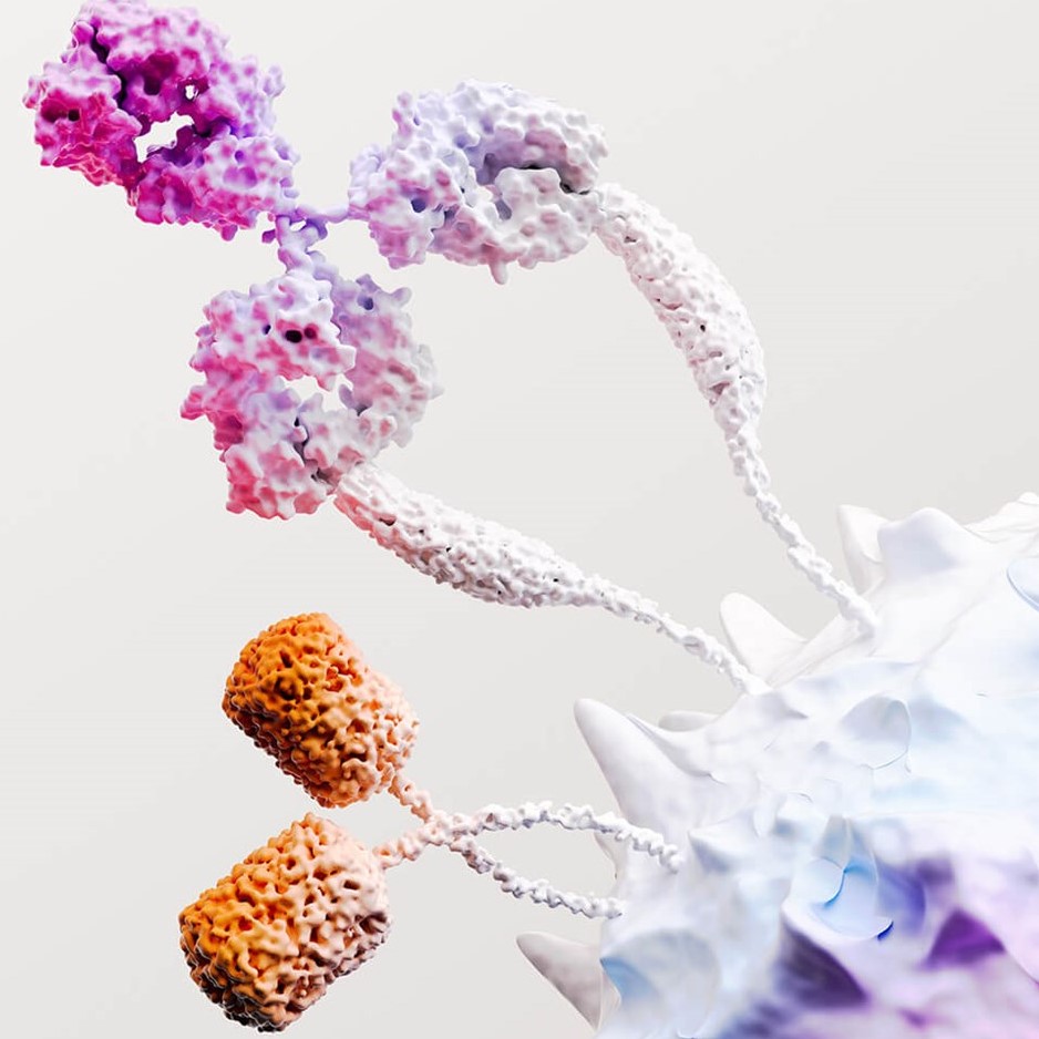 Immuno Oncology Science Image (2)