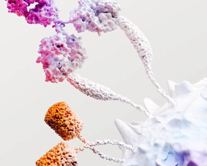 Immuno Oncology Science Image (2)