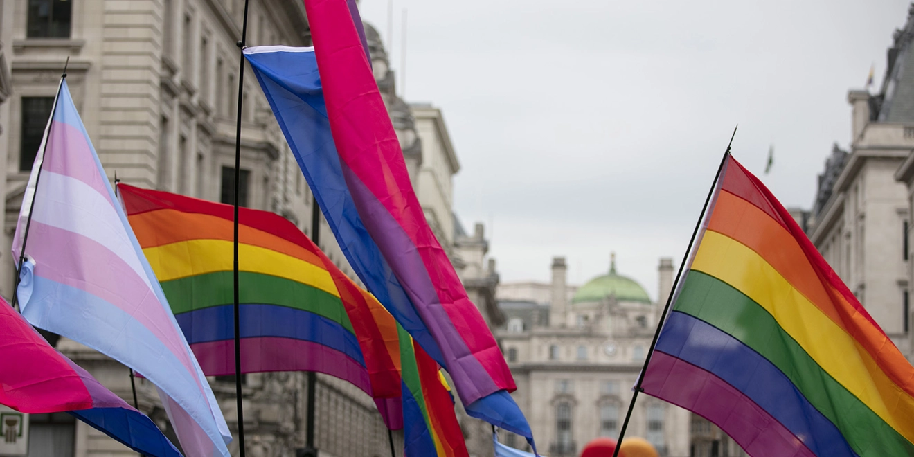 the trans and LGBTQIA flags waving in the air
