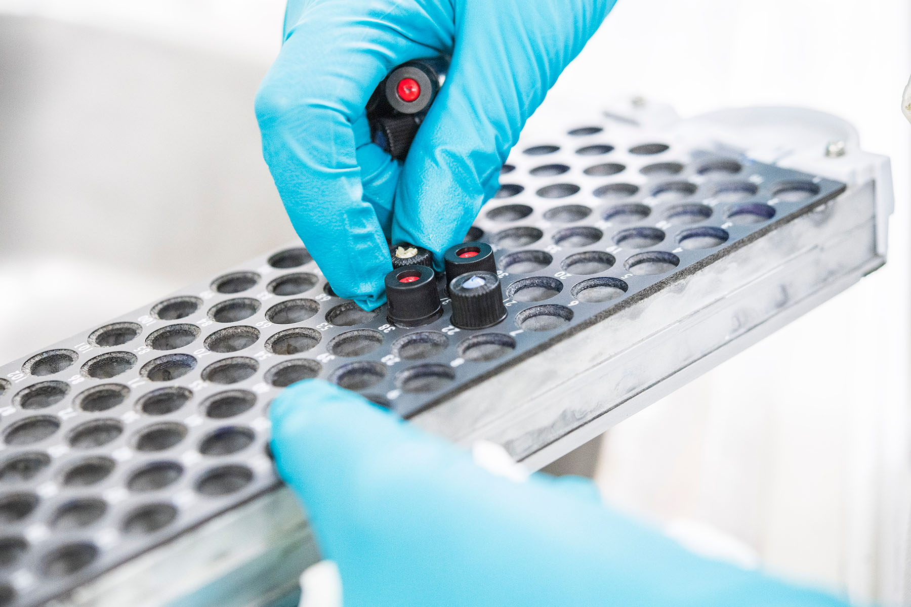 hands reaching for samples from a tray