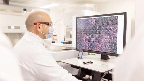 Scientist at a computer monitor looking at 3D images in high throughput screening lab