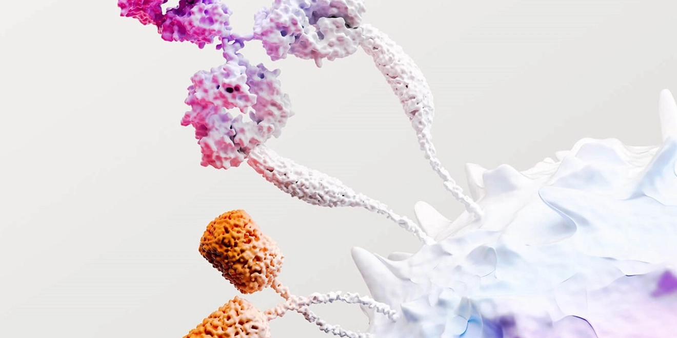 Oncology 3D photo