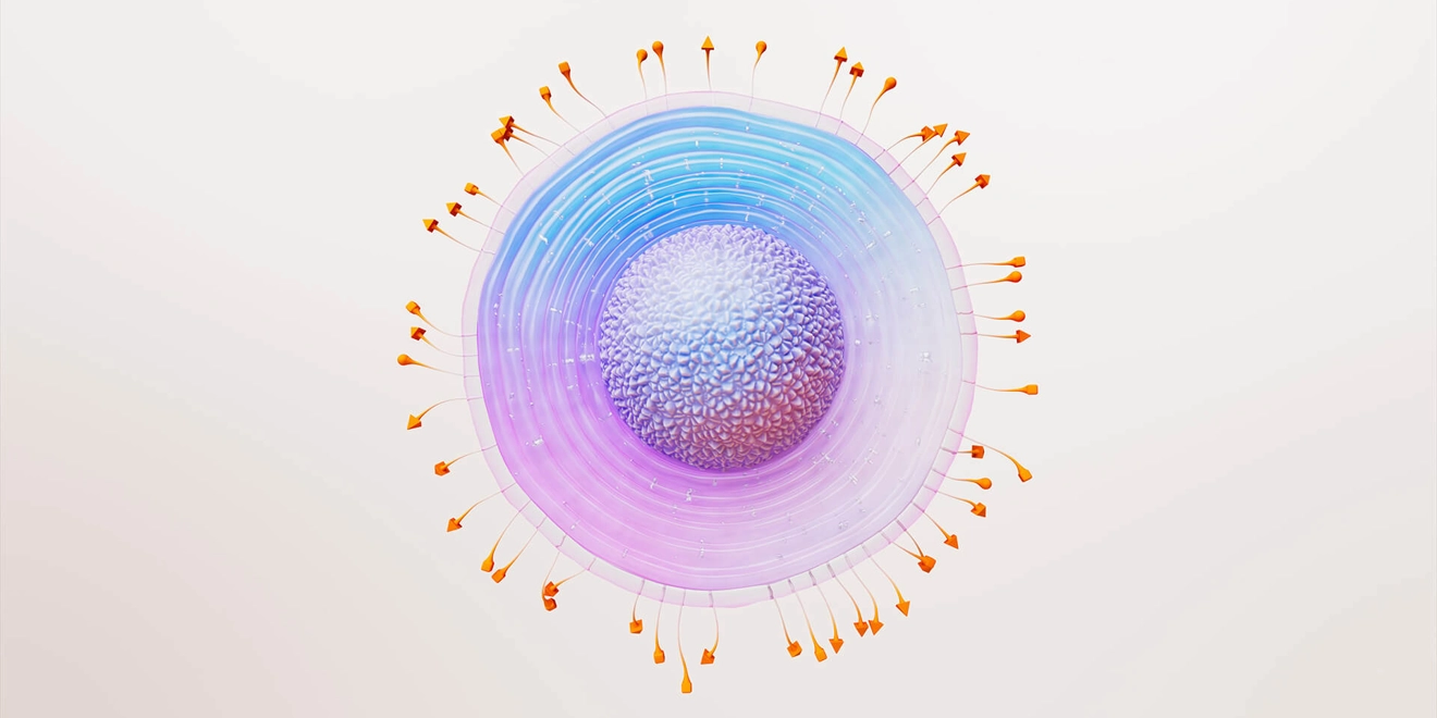3D rendering of a shingles virus