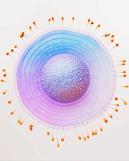 3D rendering of a shingles virus