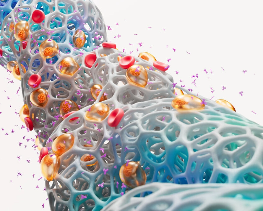 Science Image Multiple Myeloma RGB.Tif (1)