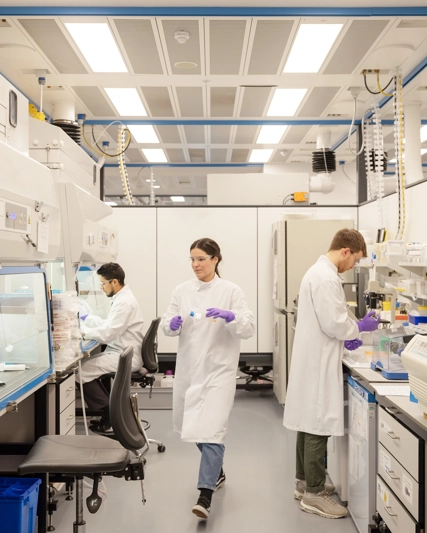 Scientist working with stem cells