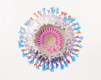 GSK Hepatitis B science image