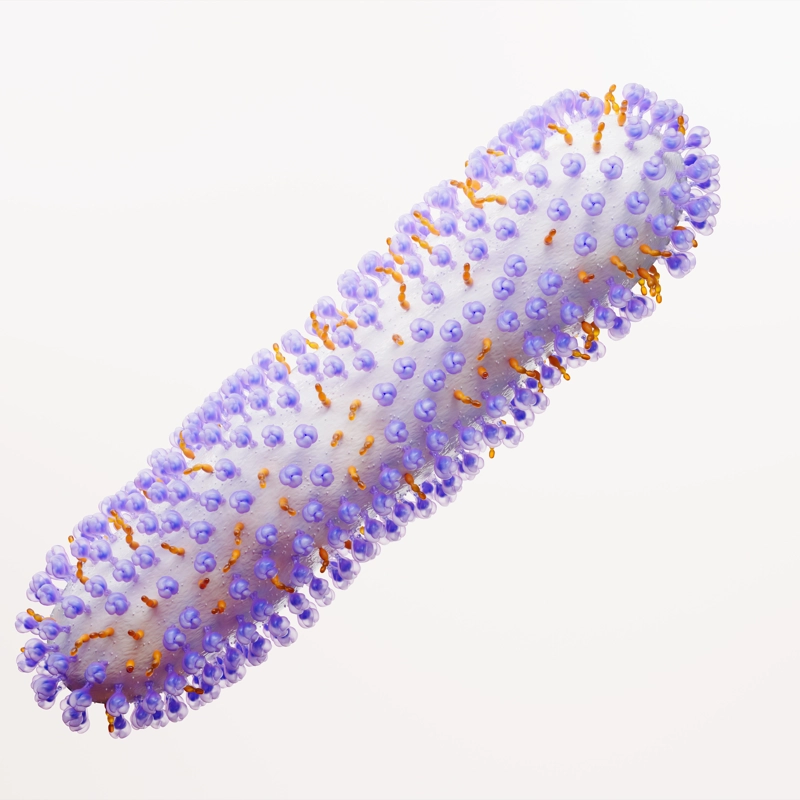 Respiratory Syncytial Virus (RSV) Science Image