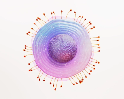 Shingles Science Image